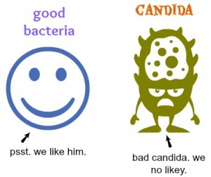 good-vs.-bad bacteria